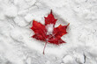 Red maple leaf lying on white snow. Top view. Canada flag concept. Canada Day. Background with copy space.