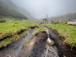 Bavarian swampy hiking trail after a log rain period