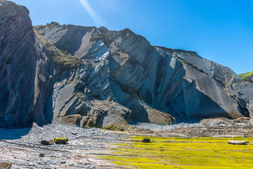 Wall Mural - Flysch Basque Coast Geopark in Zumaia with low seas with marine vegetation, Gipuzkoa