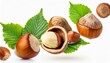 flying nuts and hazelnuts isolated on white background