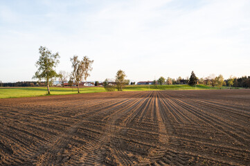 Agricultural field with even rows in the spring