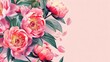 Exquisite peony flowers on a pastel background - A vibrant assemblage of pink peonies adorned with lush foliage, petals gracefully unfolding on a soft pink backdrop