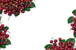 Red juicy cherries with green leaves on a white background with space for text. Top view, flat lay