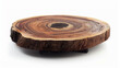 Кustic natural wood round coffee table, cut out isolated white background