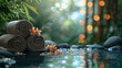 Beautiful composition Spa and wellness