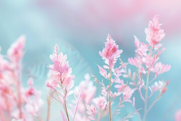 Wall Mural - Beautiful Pink Flowers Blooming in a Field Under a Clear Blue Sky with Blurred Background Nature Scenery Landscape Capture