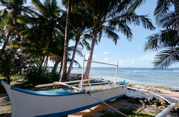 Wall Mural - Beautiful landscape - tropical coconut palms beach with fishing boat. Siargao Island, Philippines.