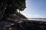 Fototapeta Morze - Rock and corals at low tide tropical beach