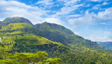 Fototapeta Na ścianę - Mountains, tropical vegetation and bright sky. Sri Lanka.