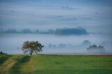 Fototapeta  - Herbst Landschaft im Nebel