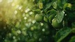 Ripe fresh apples hanging on the branch in the apple orchard on blur background. AI generated image