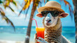 Funny sheep in a straw hat and sunglasses on the ocean shore with a cocktail