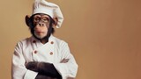 Humorous photo of an anthropomorphic monkey dressed in professional chef's attire against a beige background