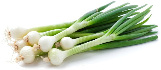 Spring onions shown on a white background.