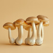 Group of assorted mushrooms stacked on top of each other against beige background