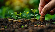 A hand is putting coins into a row of plants. The plants are small and green, and the coins are shiny and metallic. Concept of growth and investment