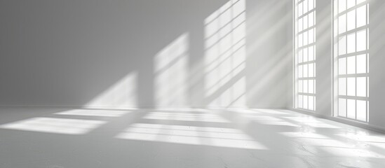 Canvas Print - White studio background designed for product presentation, set in an empty gray room with window shadows and a blurred backdrop for showcasing products.