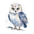 Watercolor owl isolated on white background.