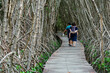 Back view of happy Asian family travel walk through on bridge wood with beautiful view of mangrove forest. Tourists refreshing and walk in the mangrove forest on vacation. Family exploring the world.
