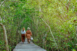 Back view of happy women friends wear hat travel walk together through on bridge wood with beautiful view of mangrove forest. Female tourists refreshing and walk in the mangrove forest on vacation.