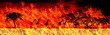 Wildfires or forest fire burning with a lot of smoke.Represents a hot flame.nature conservation concept.Global warming crisis.Wild animals are attacked by fire.Largest Wildfires.