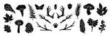 Fototapeta  - Linocut forest branch set vector engraving Scandinavian leaf, mushroom, cones black print collection. Autumn nature woodcut silhouette, season twig botanical object kit. Linocut branch texture stamp