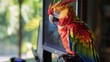 A curious parrot perched on a computer monitor, peering at the screen with colorful feathers ruffled in fascination.