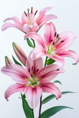 Poster - Pink flowers arranged on a table, suitable for various occasions
