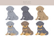 Blue Lacy puppy clipart. Different coat colors and poses set