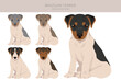 Brazilian terrier puppy clipart. Different coat colors and poses set