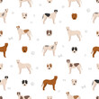 Bully Kutta seamless pattern. Different coat colors and poses set