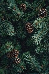 Poster - Close up of pine cones on a tree, perfect for nature backgrounds