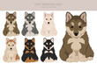 East siberian laika puppy clipart. Different coat colors set