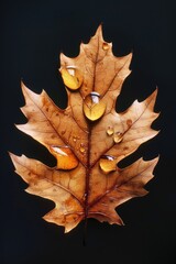 Poster - Close-up of water droplets on a green leaf. Perfect for nature backgrounds