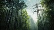 © Fotograf - A power line running through a dense forest, suitable for technology or environmental concepts