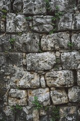Poster - A plant emerging from a stone wall, suitable for nature or growth concepts