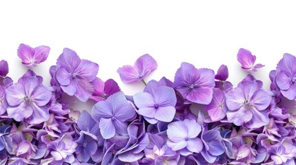 Poster - Detailed close up of a bunch of purple flowers, ideal for botanical and nature themes