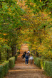 Madrid, Spain, Nov 18, 2023, People walking in Buen Retiro famous park located in the downtown Madrid, during fall autumn. High quality photo