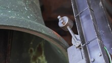 Ringing Bell Of The St. Mark Campanile In Venice, Italy. Ancient Big Bells Inside Belfry. Close-up View Of The Bronze Or Copper Old Bell On The Tower Top Ringing.