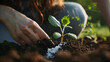 Woman fertilizing soil with growing young sprout outdoors, selective focus