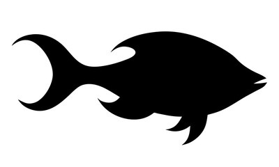 Illustration of a shark silhouette