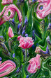 pink white tulip with colorful blurred background