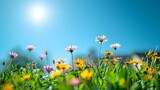 Fototapeta  - Harmony in Bloom: Solar Brilliance and Floral Elegance. Concept Nature Photography, Solar Flares, Floral Arrangements, Harmony in Nature, Beautiful Sunlight
