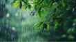  Rain falling over green leaves background ,tree, growth and freshness