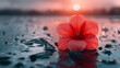   A red flower floats in the center of a tranquil body of water, its petals gently disturbed by droplets of water beading on the surface