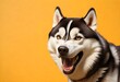 Lassie , Balto , Hachiko ,siberian husky, Funny Dogs Orange and white happy cartoon dog standing against a plain white background