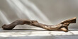 Dry driftwood old tree bark in a white studio. Studio shot in room with textured light and shadows. Product display template.