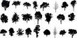 © Ayoub - silhouette tree line drawing set, Side view, set of graphics trees elements outline symbol for architecture and landscape design drawing