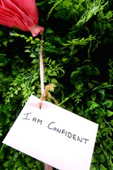 Wall Mural - Confidence Note written on expression board by confident person