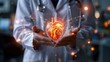 heart in the hands of a doctor, concept of caring for the health of the cardiological 